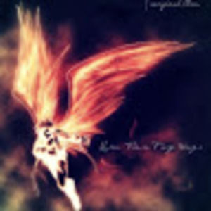 Meet your Posher, Jonathon